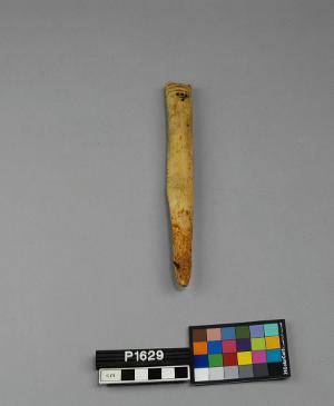 P1629