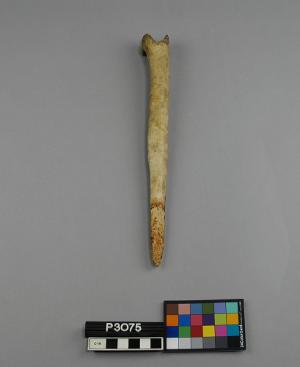 P3075