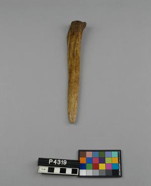 P4319