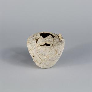 MS2872