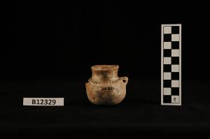 B12329