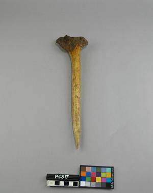 P4317