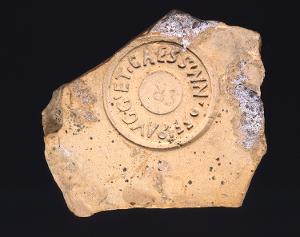 MS2152