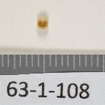 123683