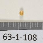 123684