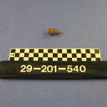 123868