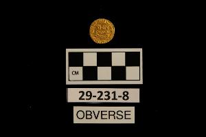 29-231-8
