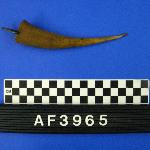 125578