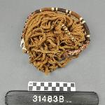126326