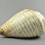 126402