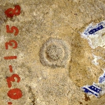 140335