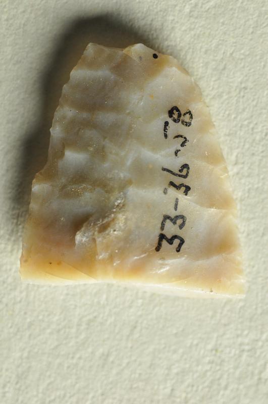 141648