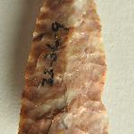 141649