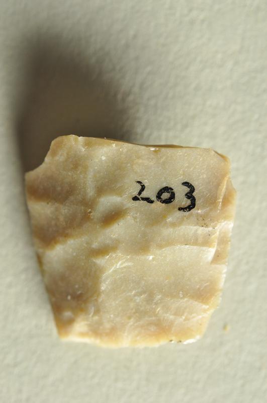 141651