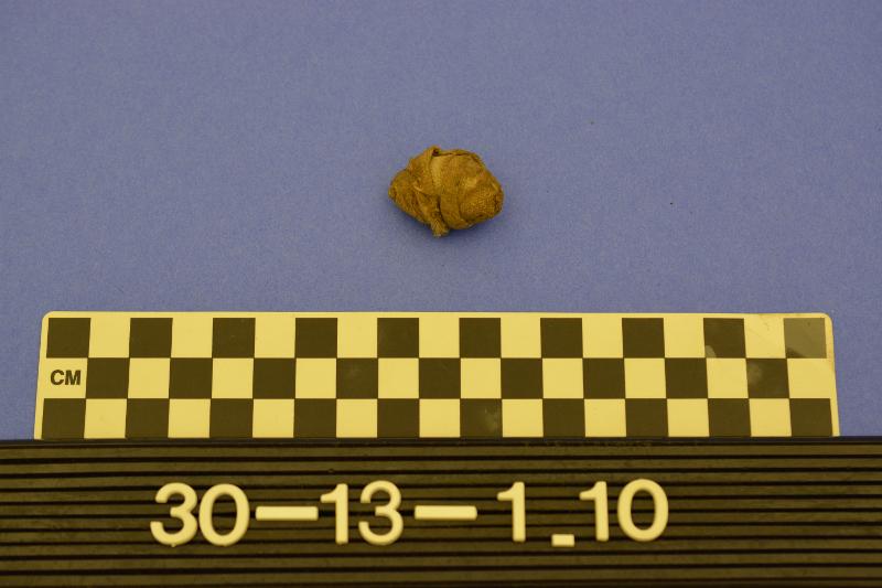 142058