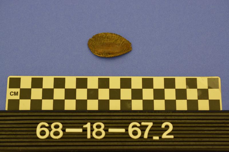 142808