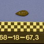 142810