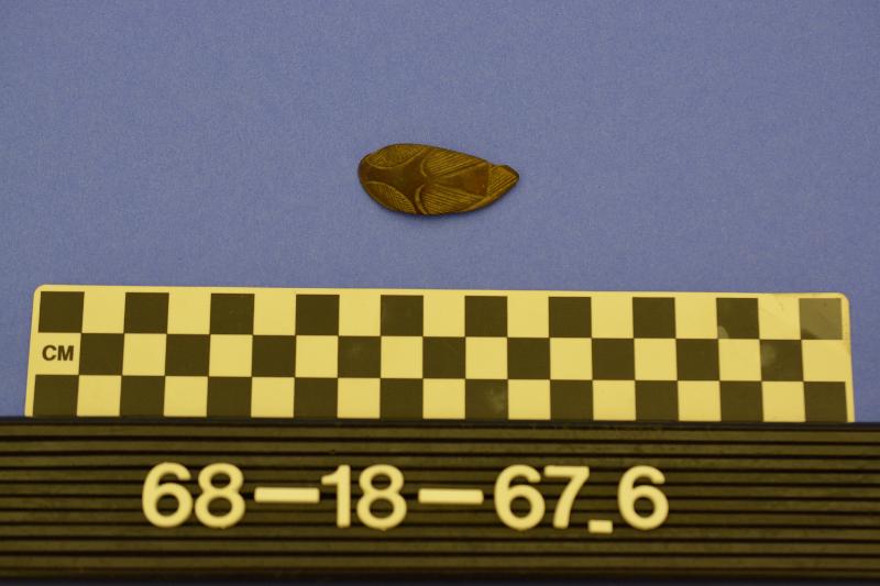 142815