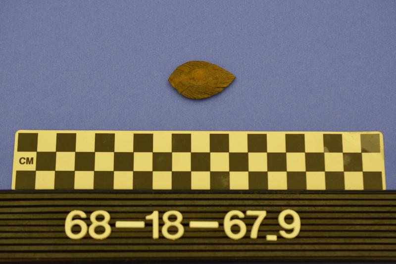 142817