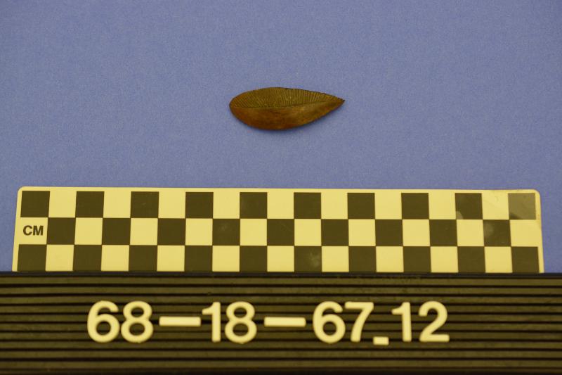 142823