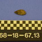 142827