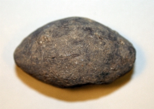 MS506