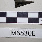 144155