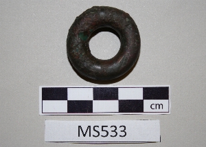 MS533