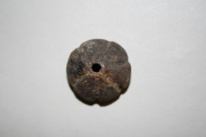 MS544C