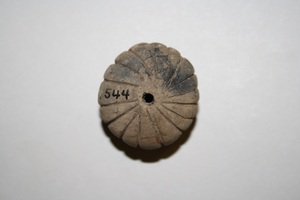 MS544J