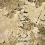 146508