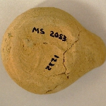 146605