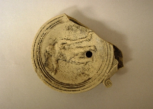 MS2055