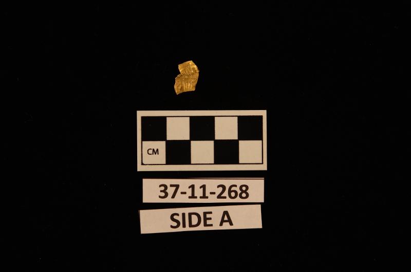 146667