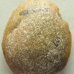 147854