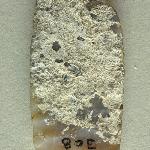 148251