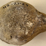 148733