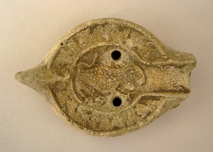 MS2081