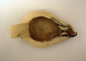 MS2062