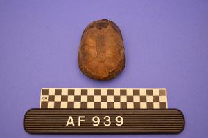 AF939