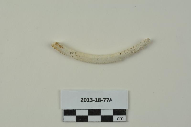 151543