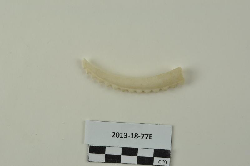 151554