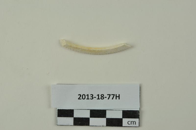 151571