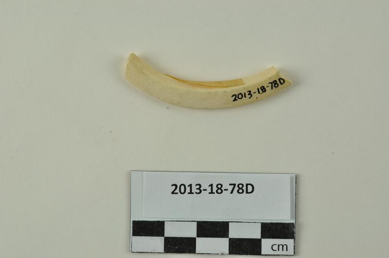 151621