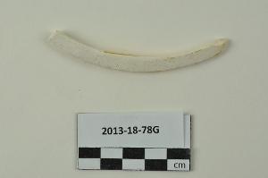 2013-18-78G
