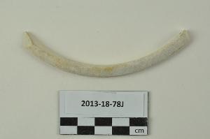 2013-18-78J