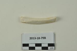 2013-18-79B