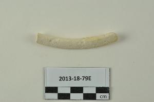 2013-18-79E