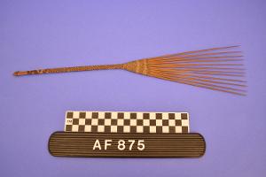 AF875