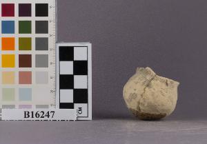 B16247